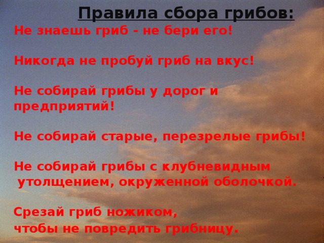 Правила сбора грибов: Не знаешь гриб - не бери его!  Никогда не пробуй гриб на вкус!  Не собирай грибы у дорог и предприятий!  Не собирай старые, перезрелые грибы!  Не собирай грибы с клубневидным  утолщением, окруженной оболочкой.  Срезай гриб ножиком, чтобы не повредить грибницу .