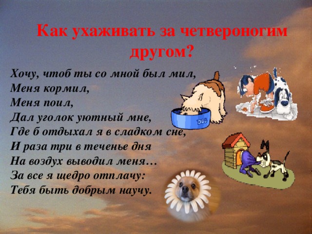 Как ухаживать за четвероногим другом? Хочу, чтоб ты со мной был мил, Меня кормил, Меня поил, Дал уголок уютный мне, Где б отдыхал я в сладком сне, И раза три в теченье дня На воздух выводил меня… За все я щедро отплачу: Тебя быть добрым научу.