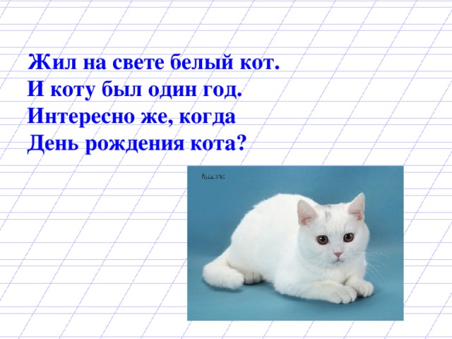 Жил на свете белый кот.  И коту был один год.  Интересно же, когда  День рождения кота?