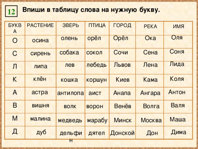 Сокет слова из этих букв