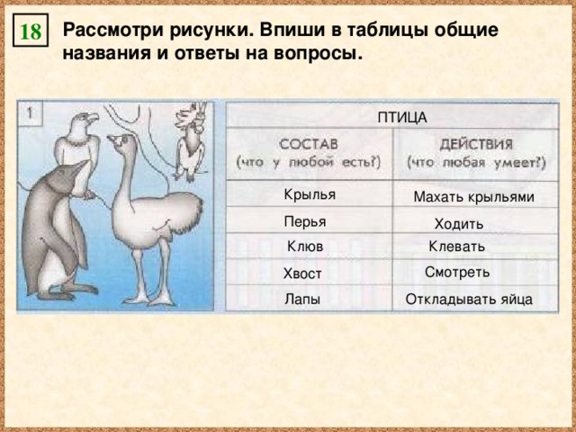 Рассмотри рисунки. Впиши в таблицы общие названия и ответы на вопросы. 18