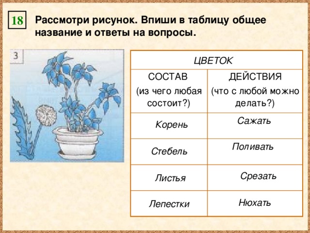 18 Рассмотри рисунок. Впиши в таблицу общее название и ответы на вопросы. СОСТАВ (из чего любая состоит?) ДЕЙСТВИЯ (что с любой можно делать?) ЦВЕТОК Сажать Корень Поливать Стебель Срезать Листья Нюхать Лепестки