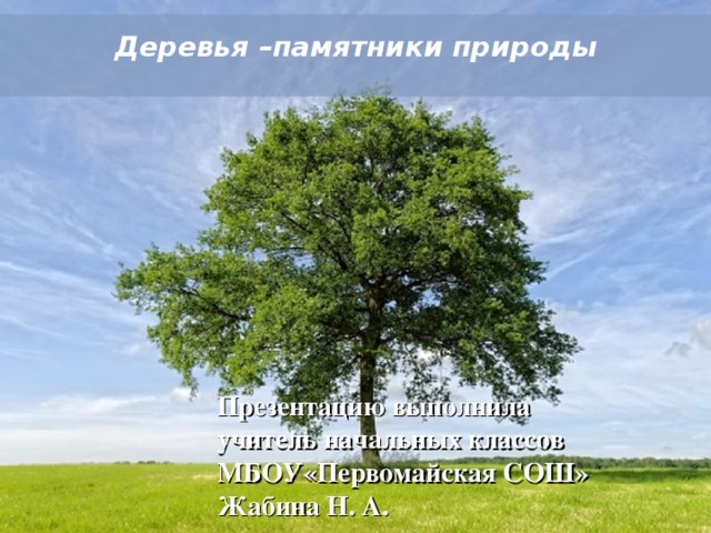 Деревья –памятники природы  Презентацию выполнила учитель начальных классов МБОУ«Первомайская СОШ» Жабина Н. А. Powerpoint Templates