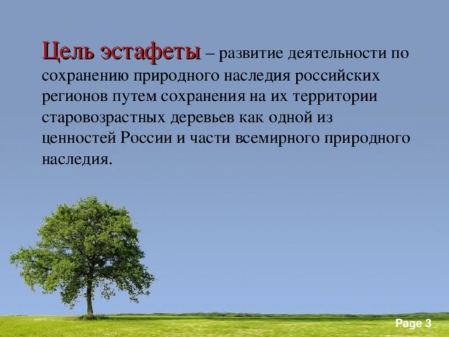 Цель эстафеты – развитие деятельности по сохранению природного наследия российских регионов путем сохранения на их территории старовозрастных деревьев как одной из ценностей России и части всемирного природного наследия.