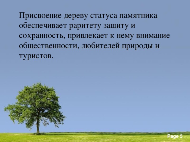 Присвоение дереву статуса памятника обеспечивает раритету защиту и сохранность, привлекает к нему внимание общественности, любителей природы и туристов.