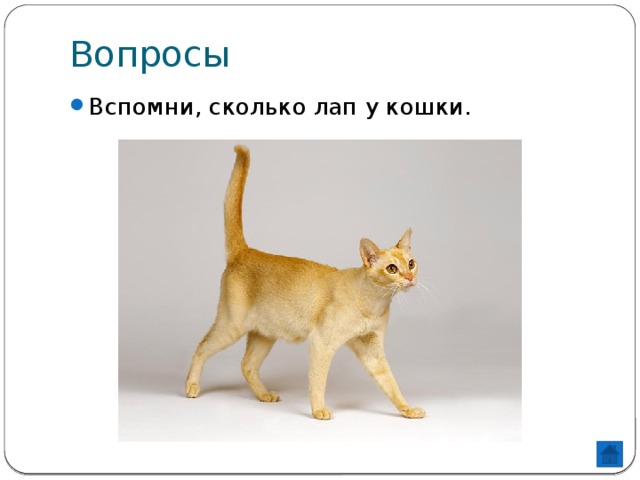 Вопросы