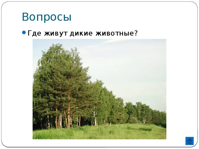 Вопросы