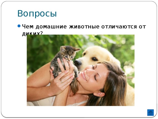 Вопросы