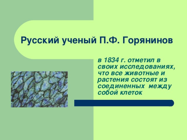 Русский ученый П.Ф. Горянинов в 1834 г. отметил в своих исследованиях, что все животные и растения состоят из соединенных между собой клеток