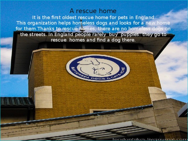 A rescue home It is the first oldest rescue home for pets in England This organization helps homeless dogs and looks for a new home for them.Thanks to rescue homes, there are no homeless dogs on the streets. In England people rarely buy puppies: they go to rescue homes and find a dog there.