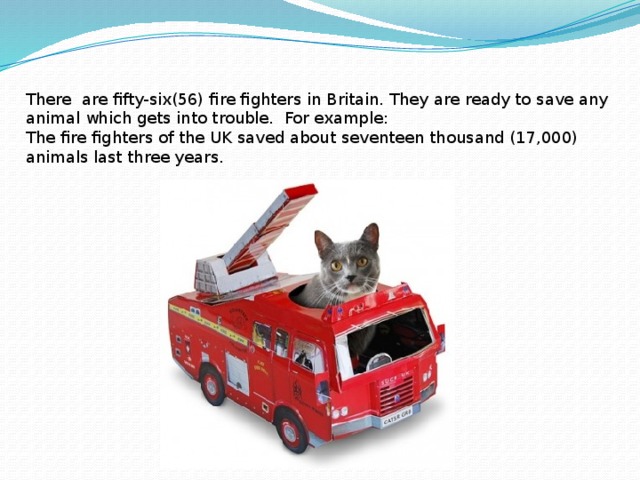 There are fifty-six(56) fire fighters in Britain. They are ready to save any animal which gets into trouble. For example: The fire fighters of the UK saved about seventeen thousand (17,000) animals last three years.