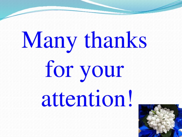 Many thanks for your attention!