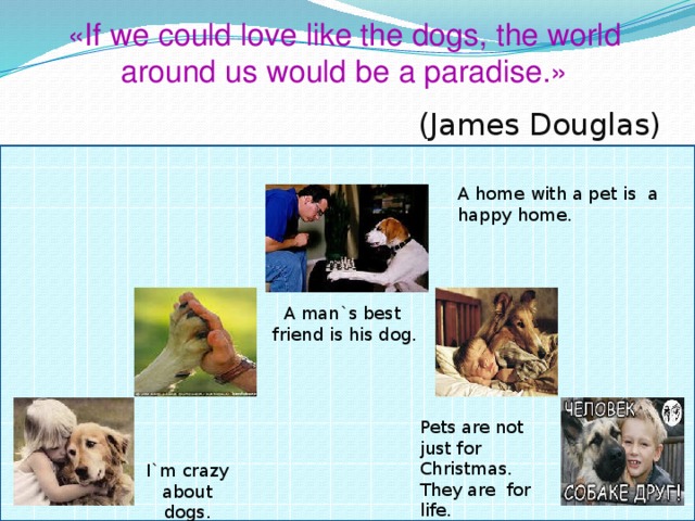 «If we could love like the dogs, the world around us would be a paradise.»   (James Douglas) A home with a pet is a happy home. A man`s best  friend is his dog. Pets are not just for Christmas. They are for life. I`m crazy about dogs.