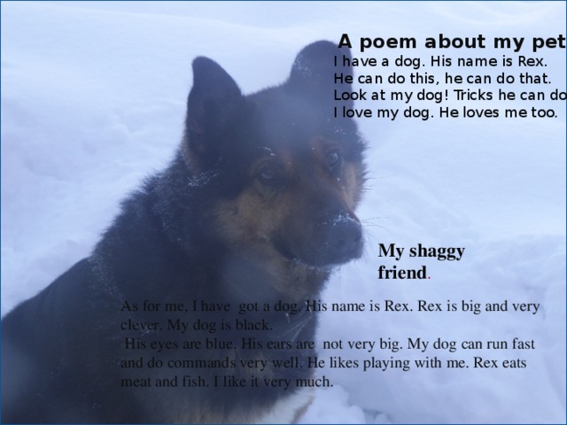 A poem about my pet. I have a dog. His name is Rex. He can do this, he can do that. Look at my dog! Tricks he can do. I love my dog. He loves me too. My shaggy friend . As for me, I have got a dog. His name is Rex. Rex is big and very clever. My dog is black.  His eyes are blue. His ears are not very big. My dog can run fast and do commands very well. He likes playing with me. Rex eats meat and fish. I like it very much.