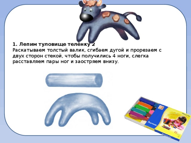 1. Лепим туловище телёнку 2 Раскатываем толстый валик, сгибаем дугой и прорезаем с двух сторон стекой, чтобы получились 4 ноги, слегка расставляем пары ног и заостряем внизу.