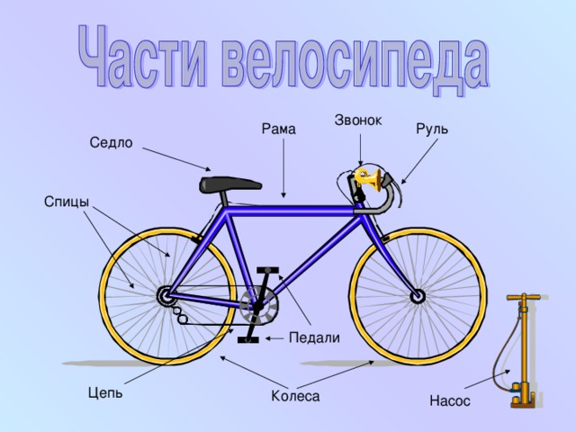 Звонок Рама Руль Седло Спицы Педали Цепь Колеса Насос