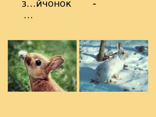 з…йчонок - …