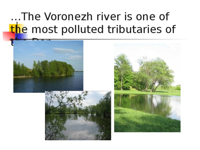 … The Voronezh river is one of the most polluted tributaries of the Don…