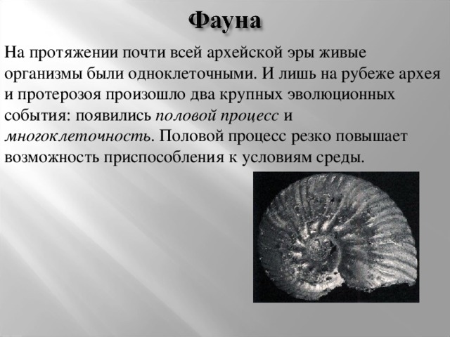 На протяжении почти всей архейской эры живые организмы были одноклеточными. И лишь на рубеже архея и протерозоя произошло два крупных эволюционных события: появились половой процесс и многоклеточность . Половой процесс резко повышает возможность приспособления к условиям среды.