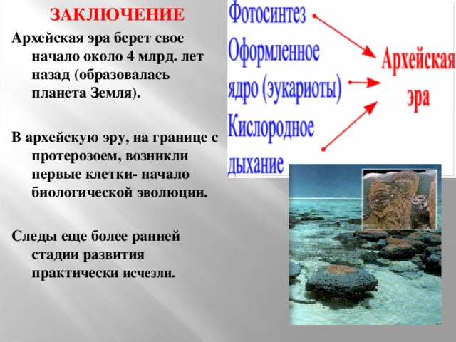 ЗАКЛЮЧЕНИЕ Архейская эра берет свое начало около 4 млрд. лет назад (образовалась планета Земля).  В архейскую эру, на границе с протерозоем, возникли первые клетки- начало биологической эволюции.  Следы еще более ранней стадии развития практически исчезли.