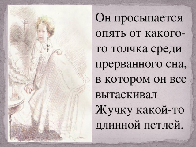 Он просыпается опять от какого-то толчка среди прерванного сна, в котором он все вытаскивал Жучку какой-то длинной петлей.