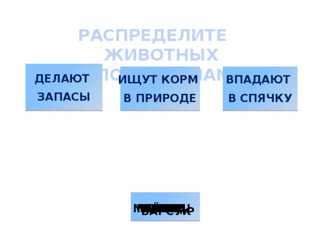 РАСПРЕДЕЛИТЕ ЖИВОТНЫХ ПО ГРУППАМ ДЕЛАЮТ ЗАПАСЫ ИЩУТ КОРМ ВПАДАЮТ В СПЯЧКУ В ПРИРОДЕ         КАБАН МЫШЬ ВОЛК МЕДВЕДЬ  ЁЖ ЗАЯЦ ЛОСЬ БЕЛКА БАРСУК