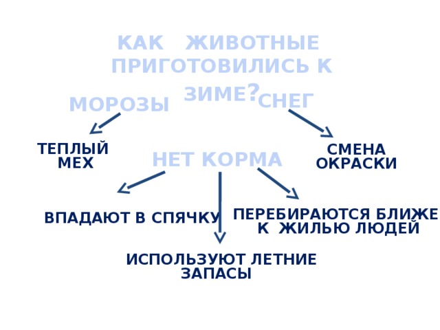 КАК ЖИВОТНЫЕ ПРИГОТОВИЛИСЬ К ЗИМЕ ? СНЕГ МОРОЗЫ ТЕПЛЫЙ МЕХ СМЕНА ОКРАСКИ НЕТ КОРМА ПЕРЕБИРАЮТСЯ БЛИЖЕ К ЖИЛЬЮ ЛЮДЕЙ  ВПАДАЮТ В СПЯЧКУ ИСПОЛЬЗУЮТ ЛЕТНИЕ  ЗАПАСЫ