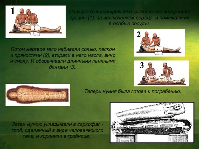 Сначала бальзамировщики удаляли все внутренние органы (1), за исключением сердца, и помещали их в особые сосуды. Потом мертвое тело набивали солью, песком и пряностями (2), втирали в него масла, вино и смолу. И оборачивали длинными льняными бинтами (3).  Теперь мумия была готова к погребению. Затем мумию укладывали в саркофаг - гроб, сделанный в виде человеческого тела, и хоронили в гробнице