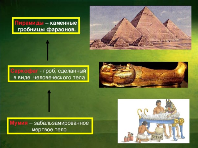 Пирамиды  – каменные  гробницы фараонов. Саркофаг  - гроб, сделанный  в виде человеческого тела Мумия  – забальзамированное мертвое тело