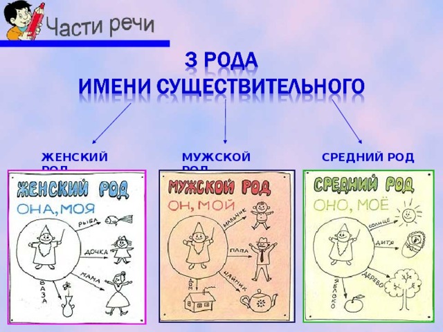 ЖЕНСКИЙ РОД МУЖСКОЙ РОД СРЕДНИЙ РОД