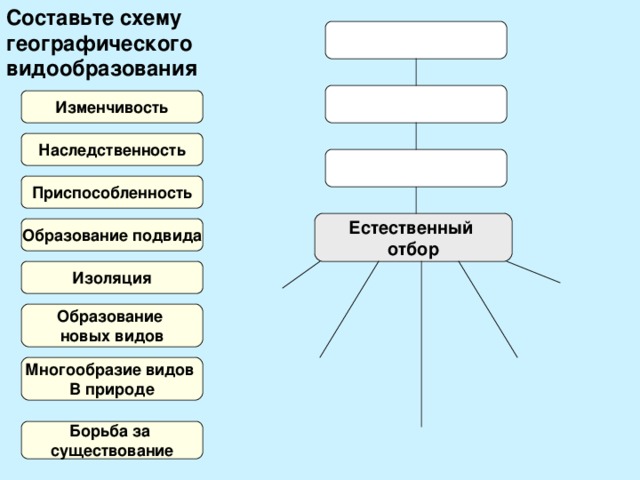 Образование видов в природе