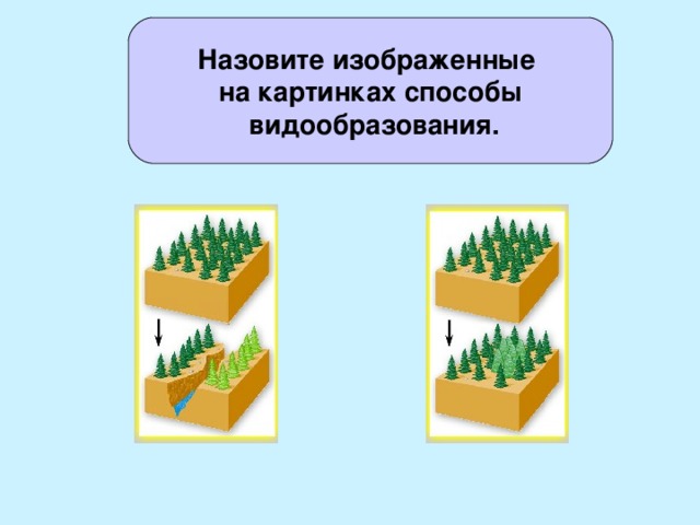 Какой способ видообразования изображен на рисунке судак