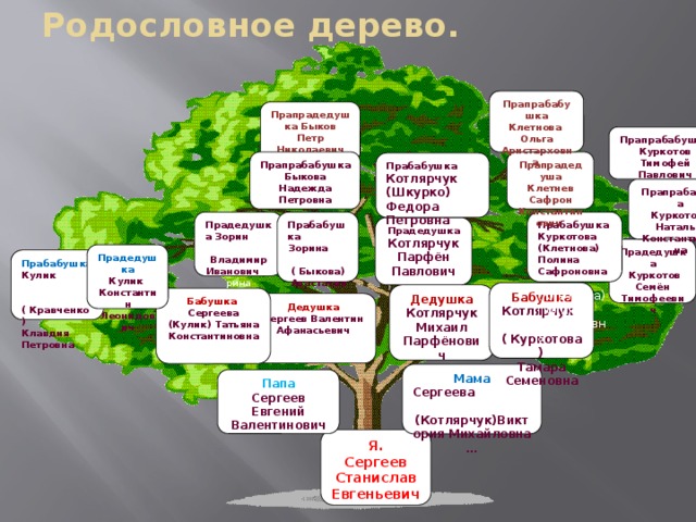 Родословное дерево. Прапрабабушка Клетнова Ольга Аристарховна Прапрадедушка Быков Петр Николаевич Прапрабабушка Куркотов Тимофей Павлович  Прапрадедуша Прапрабабушка Быкова Надежда Клетнев Сафрон Петровна Константинович   Прабабушка Котлярчук (Шкурко) Федора Петровна Прапрабабуша Куркотова Наталья Константиновна  Прабабушка Прабабушка Прадедушка Зорин Владимир Иванович Зорина ( Быкова) Зорина ( Быкова) Куркотова (Клетнова) Полина Сафроновна  Анастасия (Клетнова) Полина Сафроновна  Прадедушка Котлярчук Парфён Павлович Прадедушка  Куркотов Семён Тимофеевич Прадедушка Кулик Константин Леонидович я Прабабушка Кулик ( Кравченко) Клавдия Петровна Бабушка Котлярчук ( Куркотова) Тамара Семеновна Дедушка Котлярчук Михаил Парфёнович Бабушка Сергеева (Кулик) Татьяна Константиновна Дедушка Сергеев Валентин Афанасьевич Мама Сергеева (Котлярчук)Виктория Михайловна … Папа Сергеев Евгений Валентинович Я. Сергеев Станислав Евгеньевич