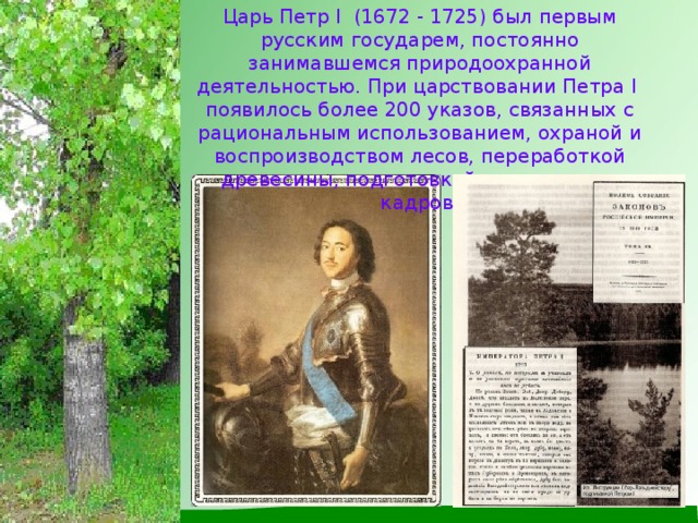 Царь Петр I (1672 - 1725) был первым русским государем, постоянно занимавшемся природоохранной деятельностью. При царствовании Петра I появилось более 200 указов, связанных с рациональным использованием, охраной и воспроизводством лесов, переработкой древесины, подготовкой специальных кадров.