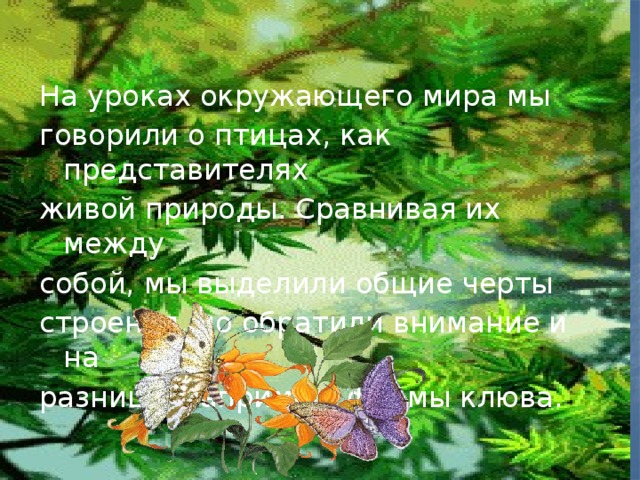 На уроках окружающего мира мы говорили о птицах, как представителях живой природы. Сравнивая их между собой, мы выделили общие черты строения, но обратили внимание и на разницу, например, формы клюва.