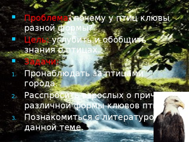 Проблема: почему у птиц клювы разной формы? Цель: углубить и обобщить знания о птицах. Задачи: Пронаблюдать за птицами города. Расспросить взрослых о причинах различной формы клювов птиц. Познакомиться с литературой по данной теме.