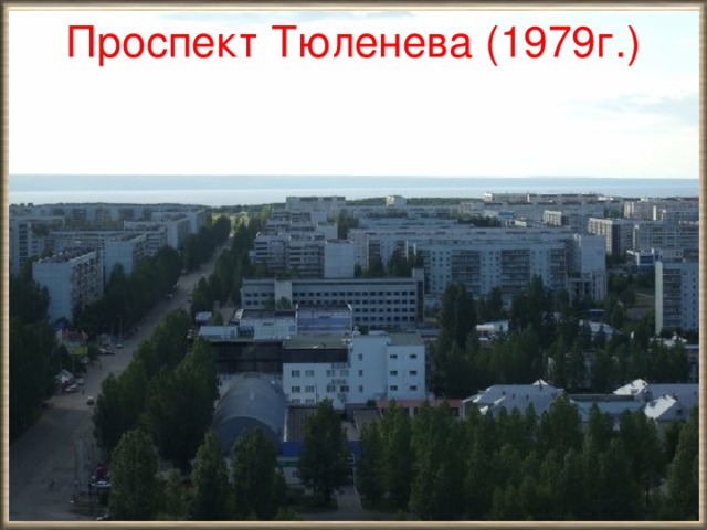 Проспект Тюленева (1979г.)