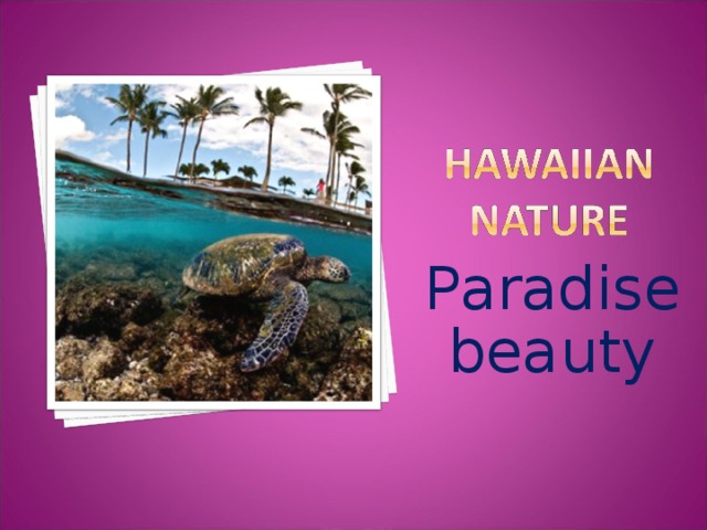 Р aradise beauty Многие люди полагают, что никакое место на земле не может превзойти Гавайи по красоте. Острова красивы не только на земле, но и под водой. Гигантские морские черепахи, электрические скаты. Коралловые рыбки ежегодно привлекают миллионы посетителей.