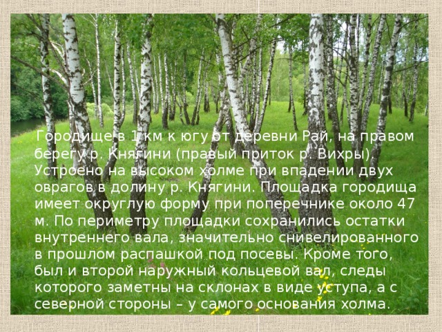 Городище в 1 км к югу от деревни Рай, на правом берегу р. Княгини (правый приток р. Вихры). Устроено на высоком холме при впадении двух оврагов в долину р. Княгини. Площадка городища имеет округлую форму при поперечнике около 47 м. По периметру площадки сохранились остатки внутреннего вала, значительно снивелированного в прошлом распашкой под посевы. Кроме того, был и второй наружный кольцевой вал, следы которого заметны на склонах в виде уступа, а с северной стороны – у самого основания холма. 