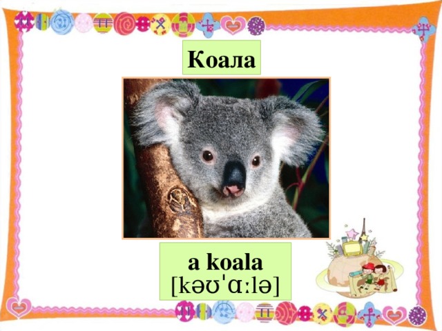 Коала a koala  [ k əʊˈɑː l ə]