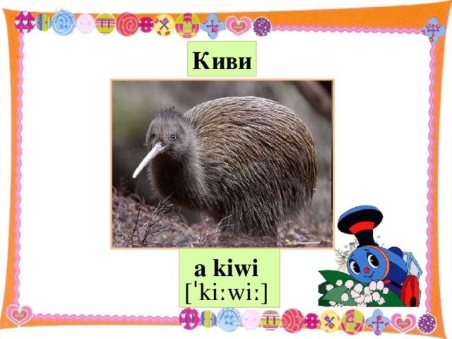 Киви a kiwi  [ˈkiːwiː]