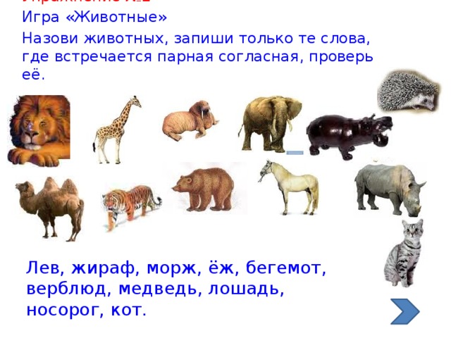Упражнение №2 Игра «Животные» Назови животных, запиши только те слова, где встречается парная согласная, проверь её. Лев, жираф, морж, ёж, бегемот, верблюд, медведь, лошадь, носорог, кот.