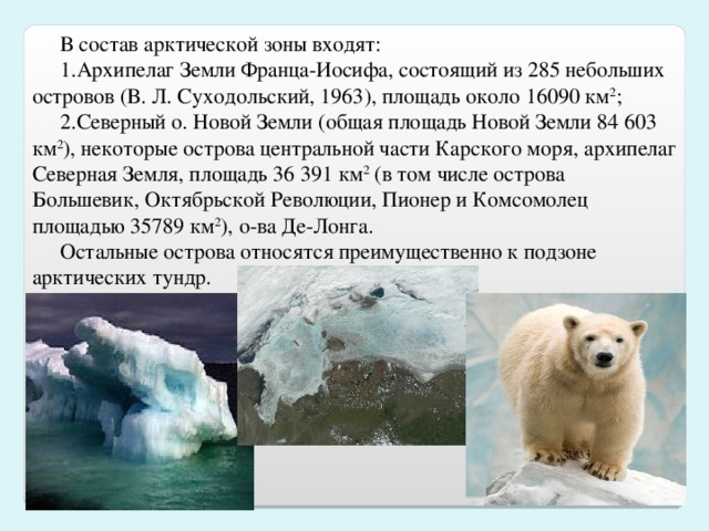 В состав арктической зоны входят: 1.Архипелаг Земли Франца-Иосифа, состоящий из 285 небольших островов (В. Л. Суходольский, 1963), площадь около 16090 км 2 ; 2.Северный о. Новой Земли (общая площадь Новой Земли 84 603 км 2 ), некоторые острова центральной части Карского моря, архипелаг Северная Земля, площадь 36 391 км 2  (в том числе острова Большевик, Октябрьской Революции, Пионер и Комсомолец площадью 35789 км 2 ), о-ва Де-Лонга. Остальные острова относятся преимущественно к подзоне арктических тундр. 