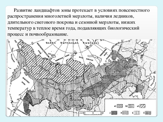 Развитие ландшафтов зоны протекает в условиях повсеместного распространения многолетней мерзлоты, наличия ледников, длительного снегового покрова и сезонной мерзлоты, низких температур в теплое время года, подавляющих биологический процесс и почвообразование.