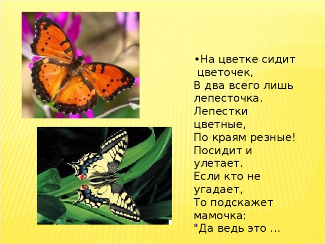 • На цветке сидит  цветочек,  В два всего лишь лепесточка.  Лепестки цветные,   По краям резные!  Посидит и улетает.  Если кто не угадает,  То подскажет мамочка:  