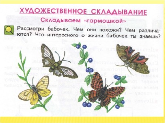 Зеленые страницы бабочки 2 класс. Урок технологии 2 класс бабочка. Бабочки окружающий мир 2 класс. Зелёные страницы 2 класс бабочки. Что умеют бабочки.