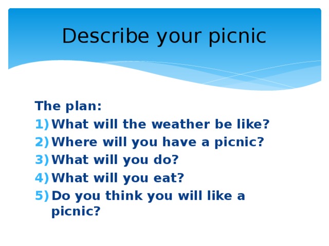 Describe your picnic The plan: