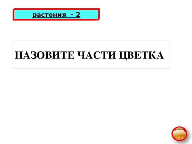 растения – 2 НАЗОВИТЕ ЧАСТИ ЦВЕТКА