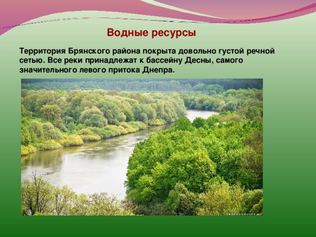 Водные ресурсы Территория Брянского района покрыта довольно густой речной сетью. Все реки принадлежат к бассейну Десны, самого значительного левого притока Днепра.