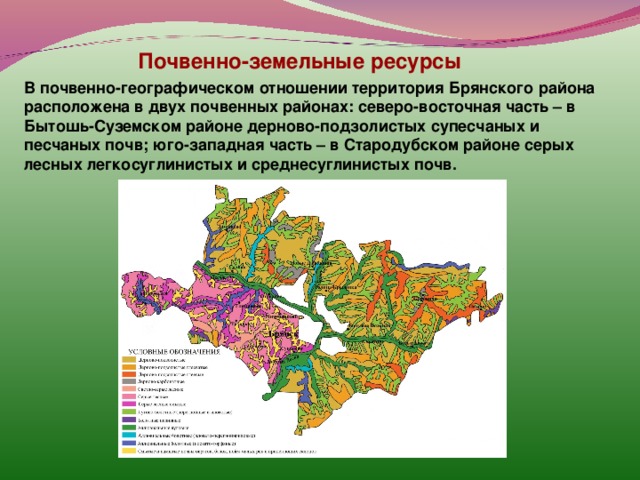 Почвенно-земельные ресурсы В почвенно-географическом отношении территория Брянского района расположена в двух почвенных районах: северо-восточная часть – в Бытошь-Суземском районе дерново-подзолистых супесчаных и песчаных почв; юго-западная часть – в Стародубском районе серых лесных легкосуглинистых и среднесуглинистых почв.